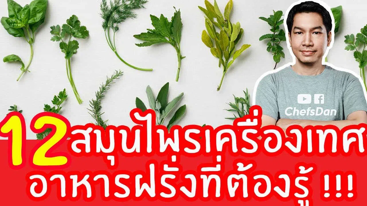 12-เครื่องเทศ-สมุนไพร-อาหารฝรั่ง-อาหารตะวันตก